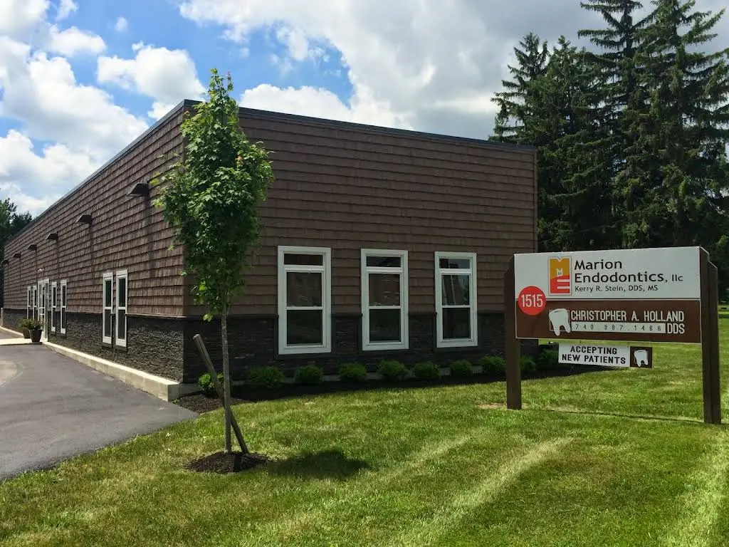 Marion Endodontics LLC, Stein Kerry R DDS