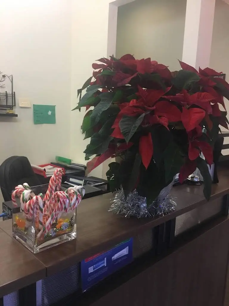 North EastView Family Dental Practice