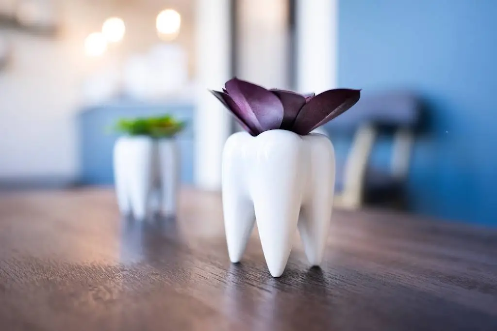 Lasting Impressions Family Dental Care