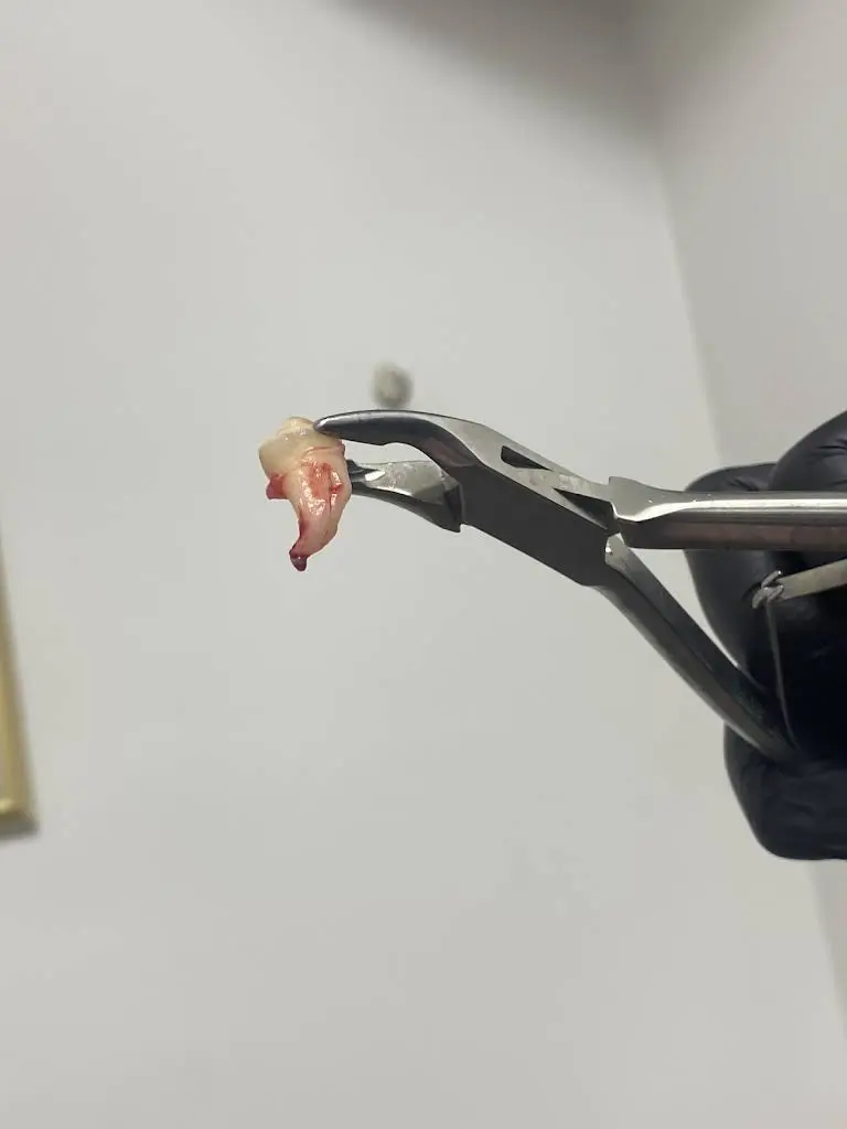 Gentle Dentist