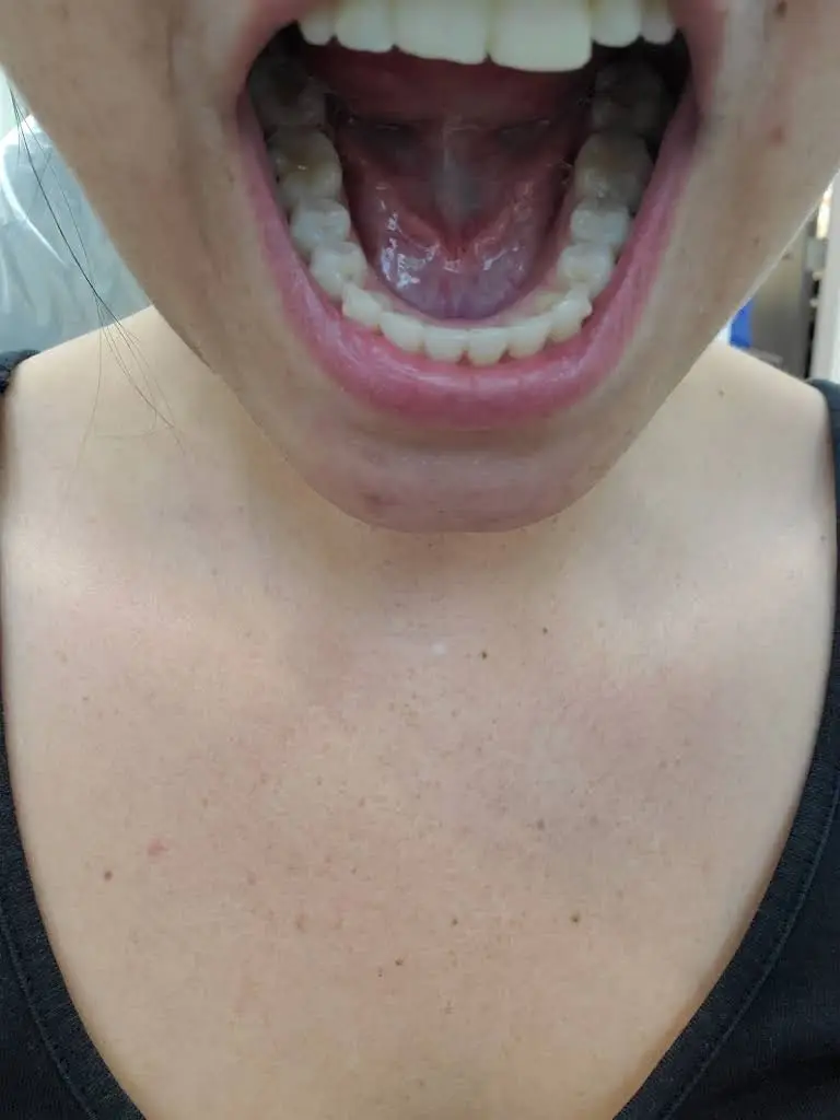 North Spring Dental