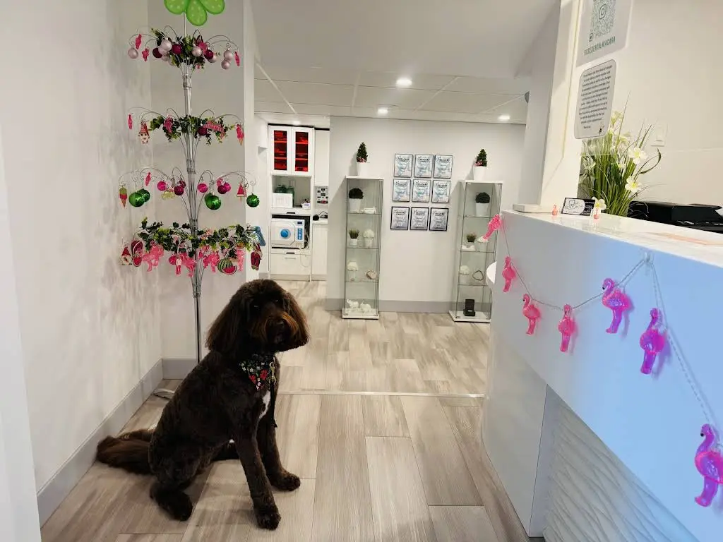 Rose Dental