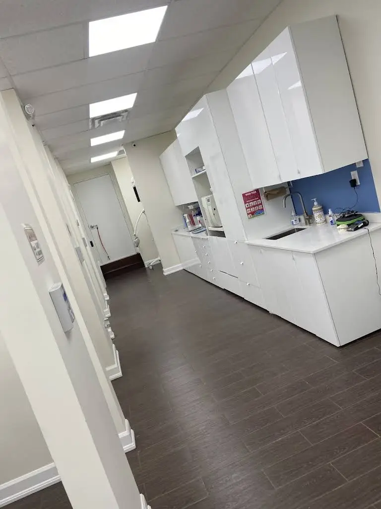 DENTiST @ MiLTON