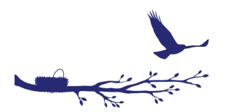 Little Bird Pediatric Dentistry