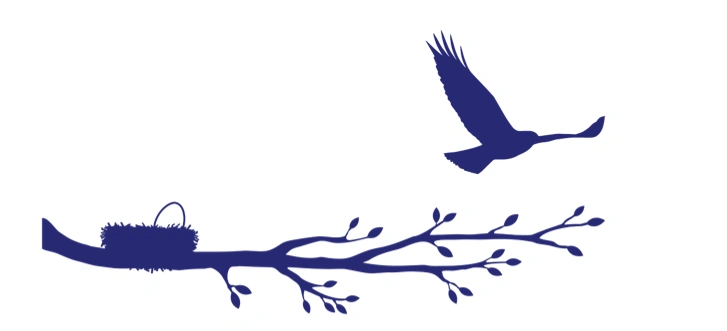 Little Bird Pediatric Dentistry