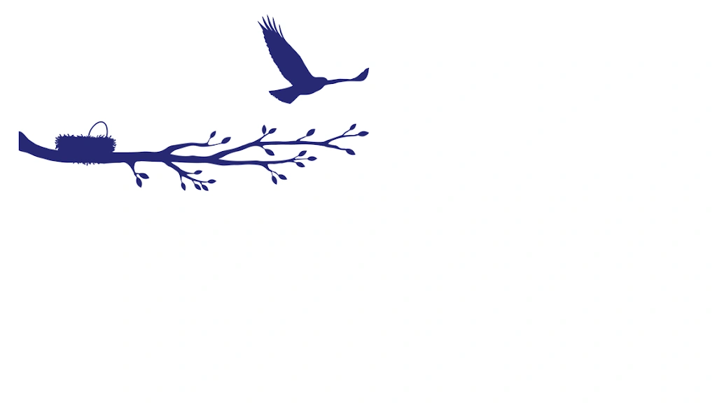 Little Bird Pediatric Dentistry
