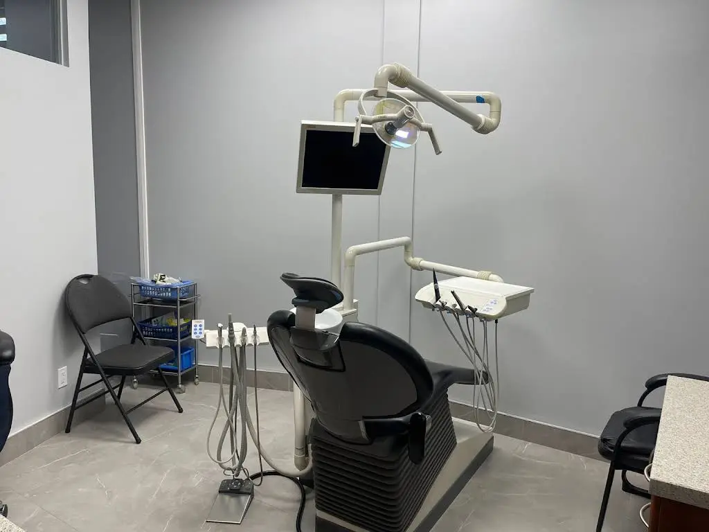 Charolais Dentistry