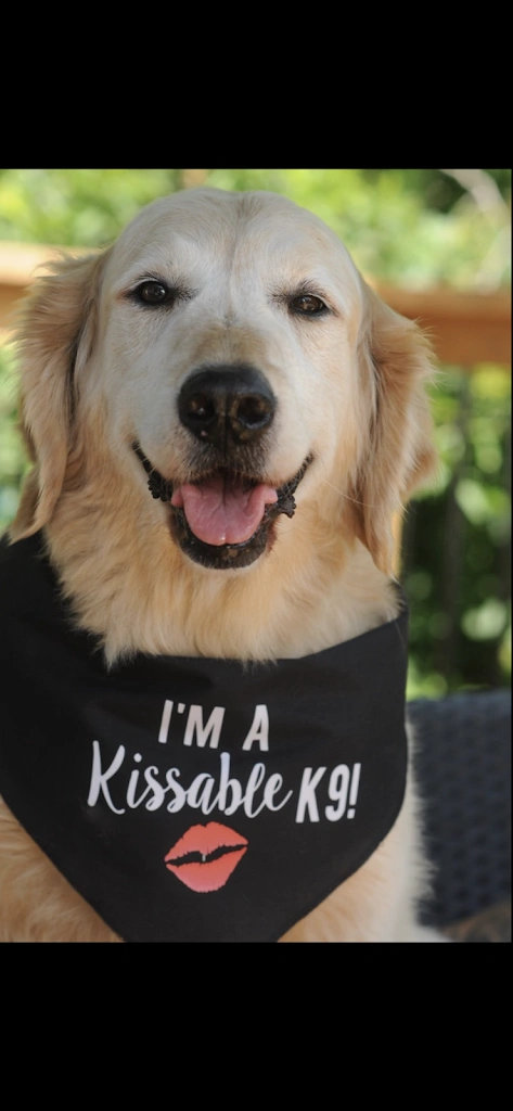 Irish K9 Tooth Fairy