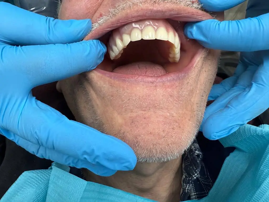 Toothland Dental