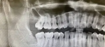 Hola Dentistry