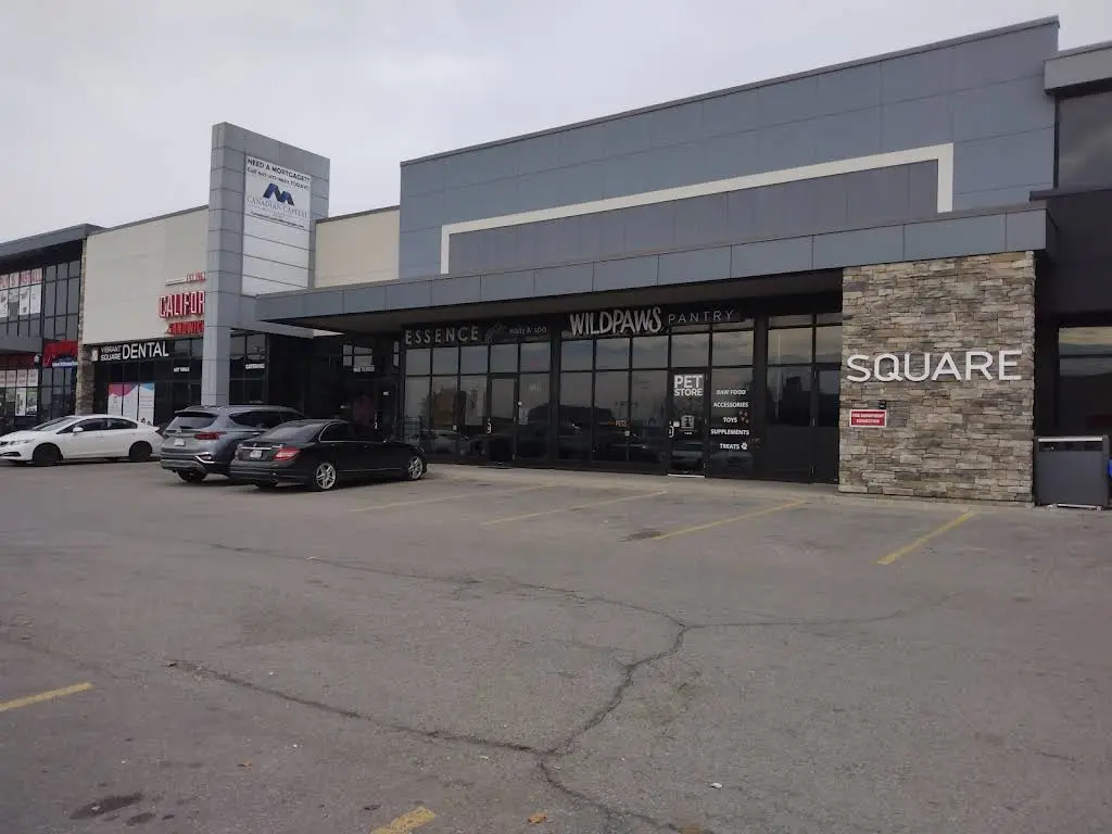 Vibrant Square Dental