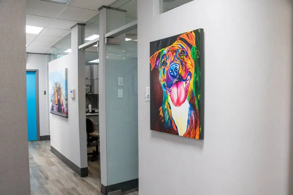905 Dental