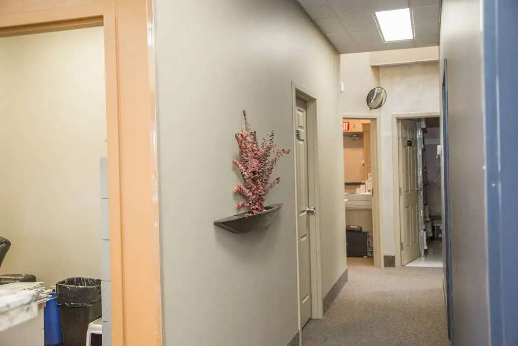 Dental Specialty Group