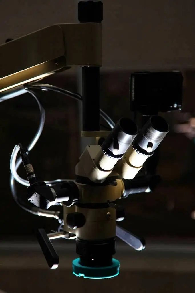 Barrie Endodontics