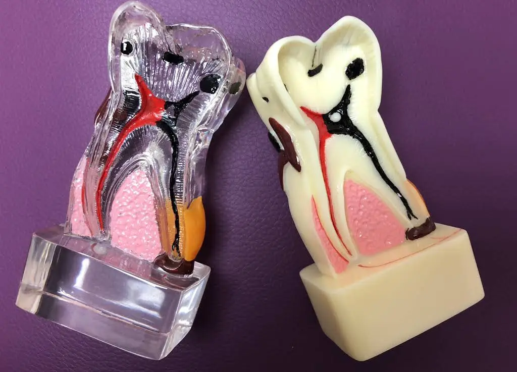 Queen's Plate Dental