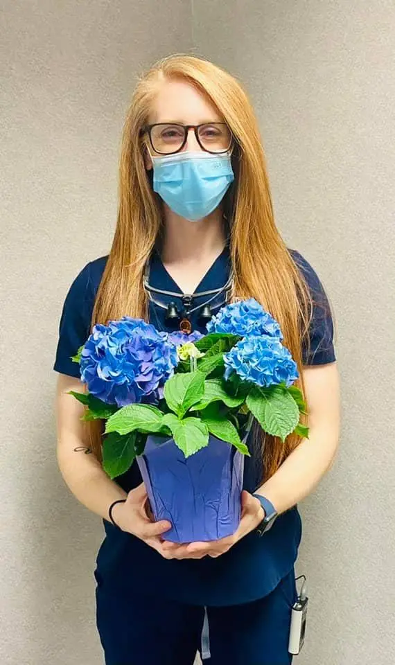 Dayton Comprehensive Dentistry