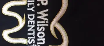 Scott P. Wilson, DDS
