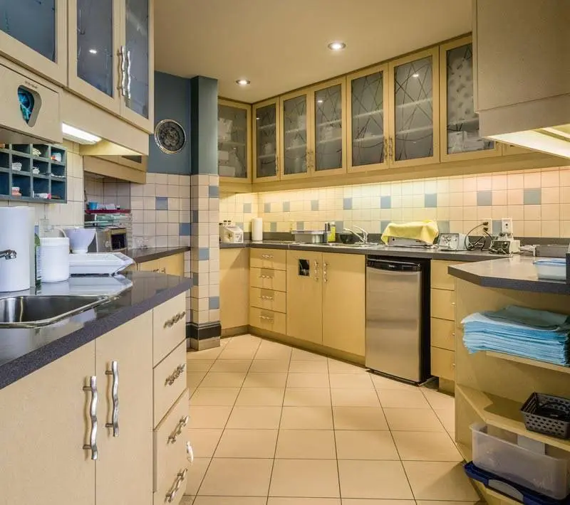 Orthodontics at the Wireworks