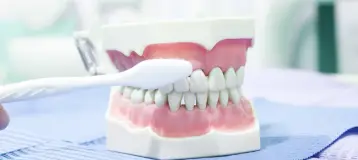 Immediate Dental Prime