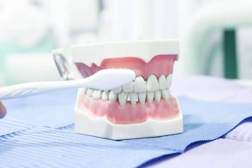 Immediate Dental Prime