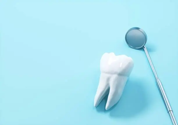Steckbeck Family Dentistry