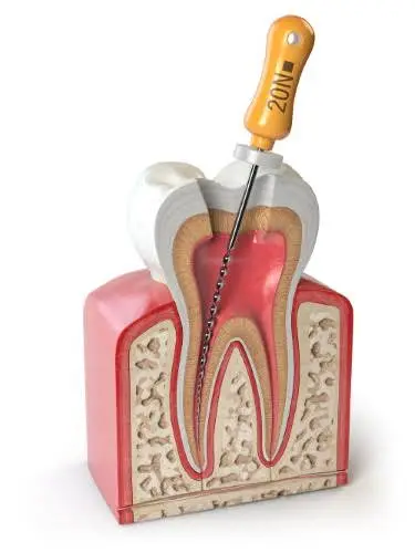 Oral Health Center/Dental Care Westerville