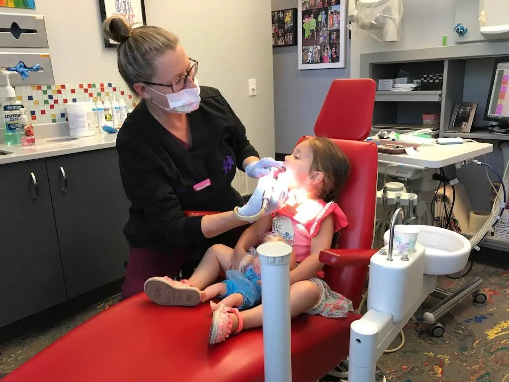 Scott W Nieman DDS Inc