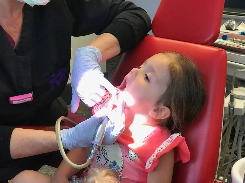 Scott W Nieman DDS Inc