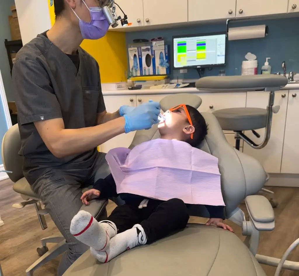 Apple Tree Dental For Kids, Newmarket