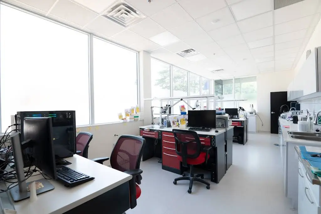 Chrysalis Dental Centres