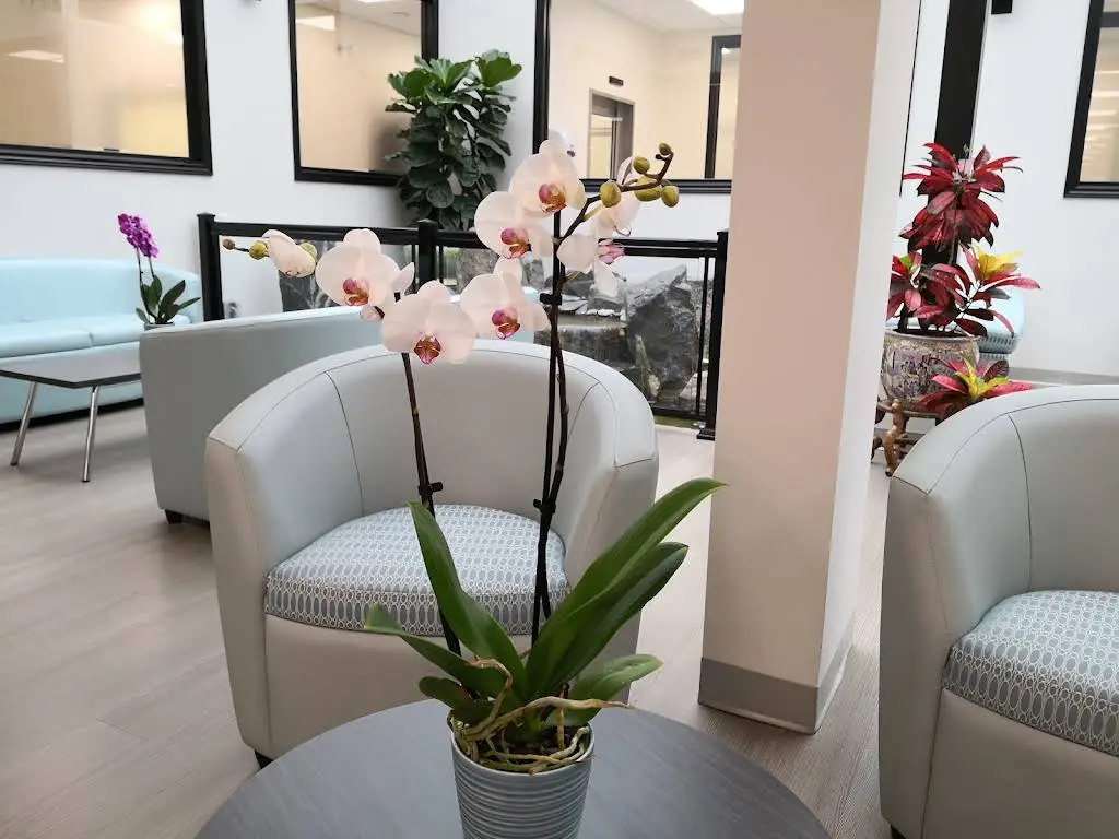 Chrysalis Dental Centres