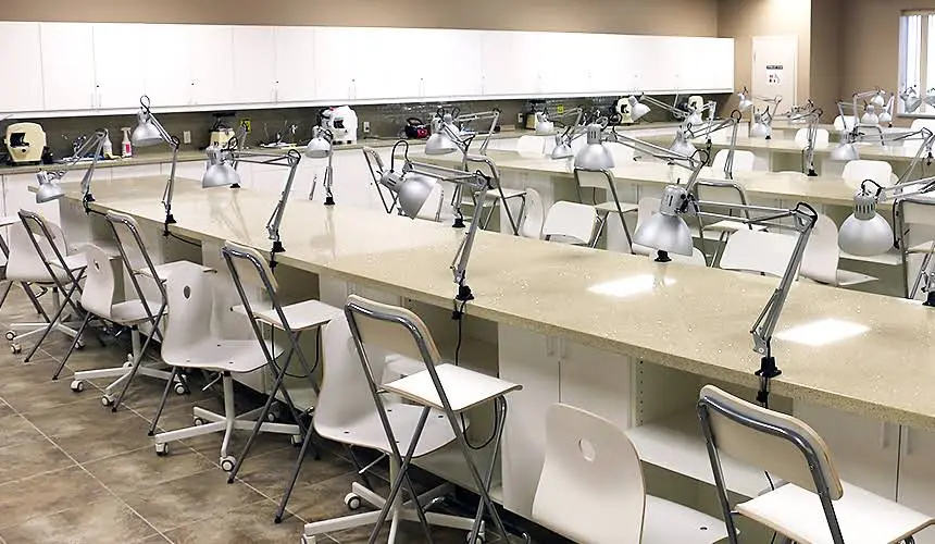 Toronto College of Dental Hygiene and Auxiliaries Inc.
