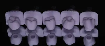 Dr. Movshovich Dentistry