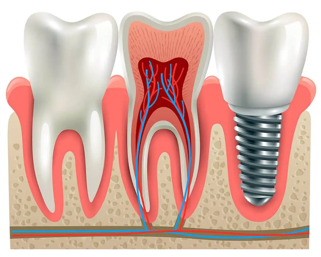 Dentistry on Wilson