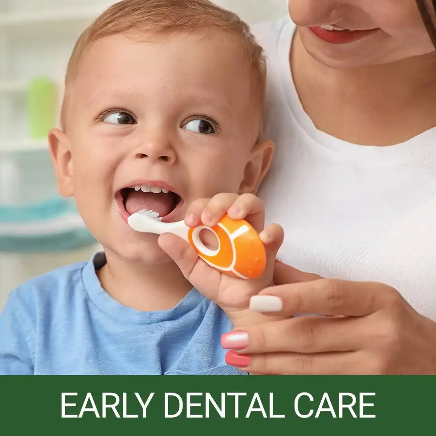 Lions Valley Dental