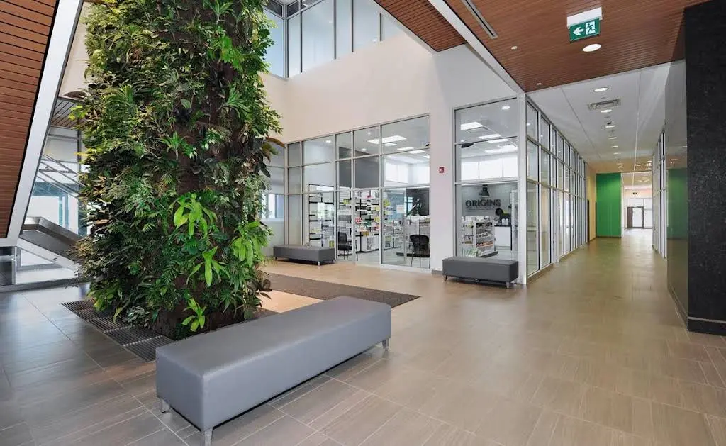Halton Denture Clinic