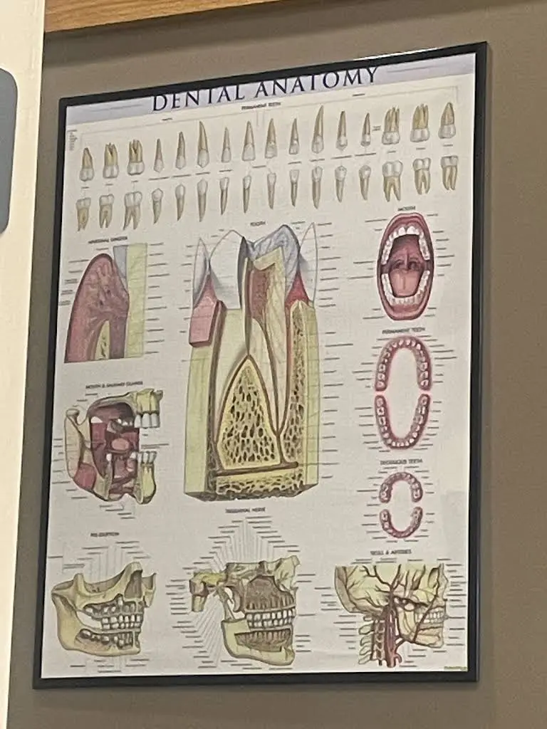 Olive Branch Dental Lafayette Rd
