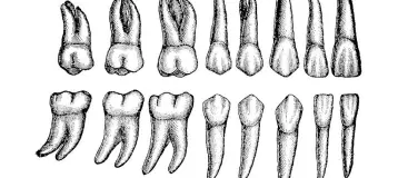 Abbey Dental