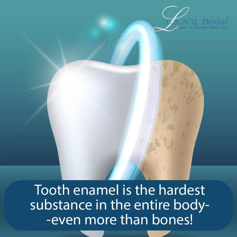 L.A.N.U. Dental