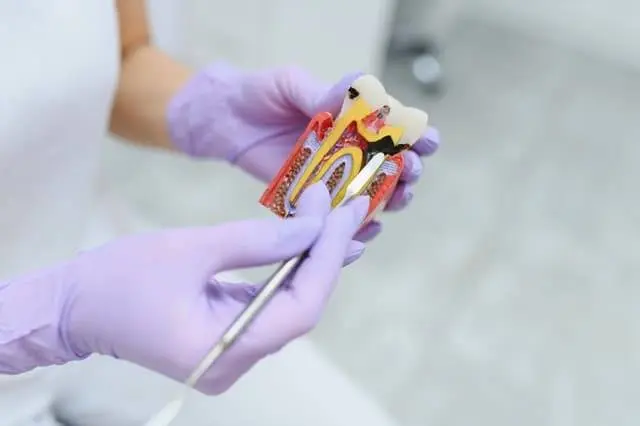 Northern Kentucky Endodontics