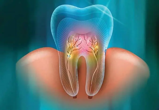 Northern Kentucky Endodontics