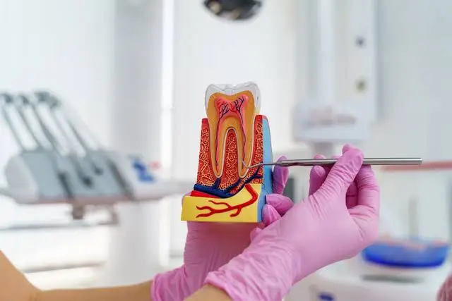 Northern Kentucky Endodontics