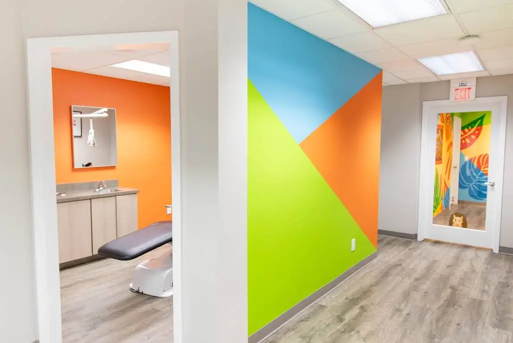 The Pediatric Dentist