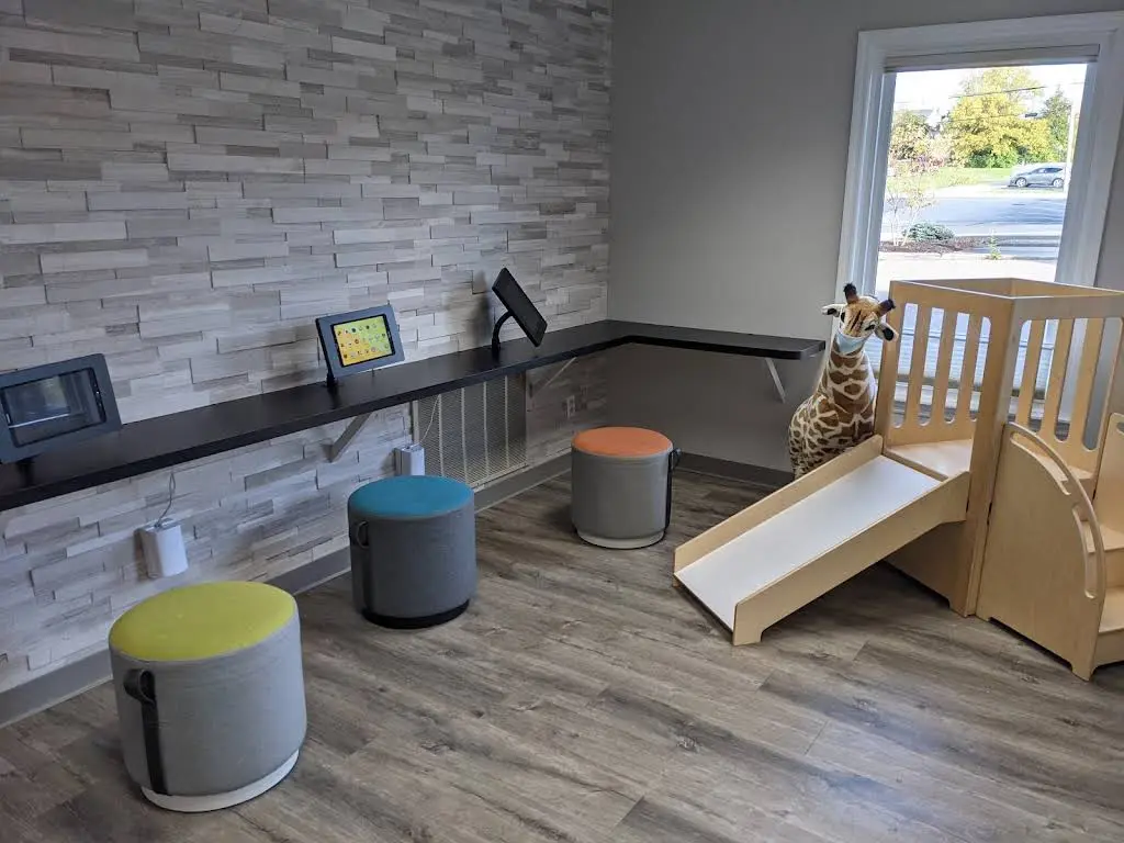 The Pediatric Dentist