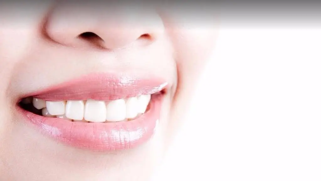 Tammy Hiester, DDS