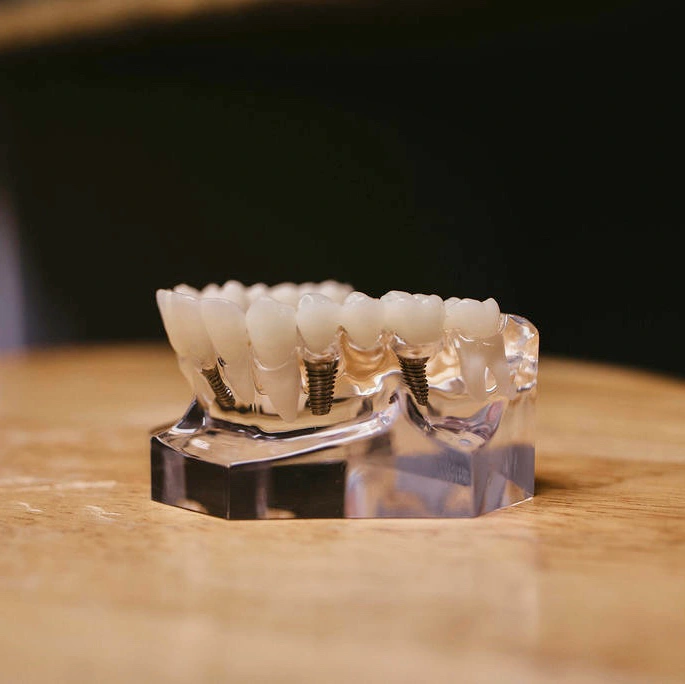 Schumacher & Bauer, DDS