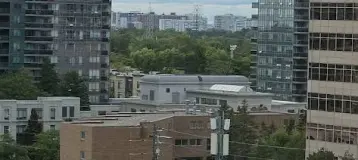 Yonge & Finch Dental Clinic