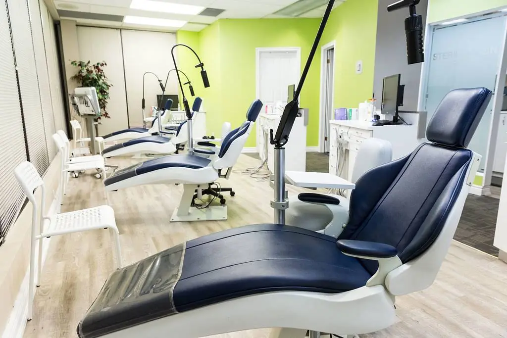 Discover Orthodontics
