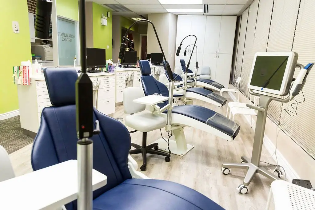 Discover Orthodontics