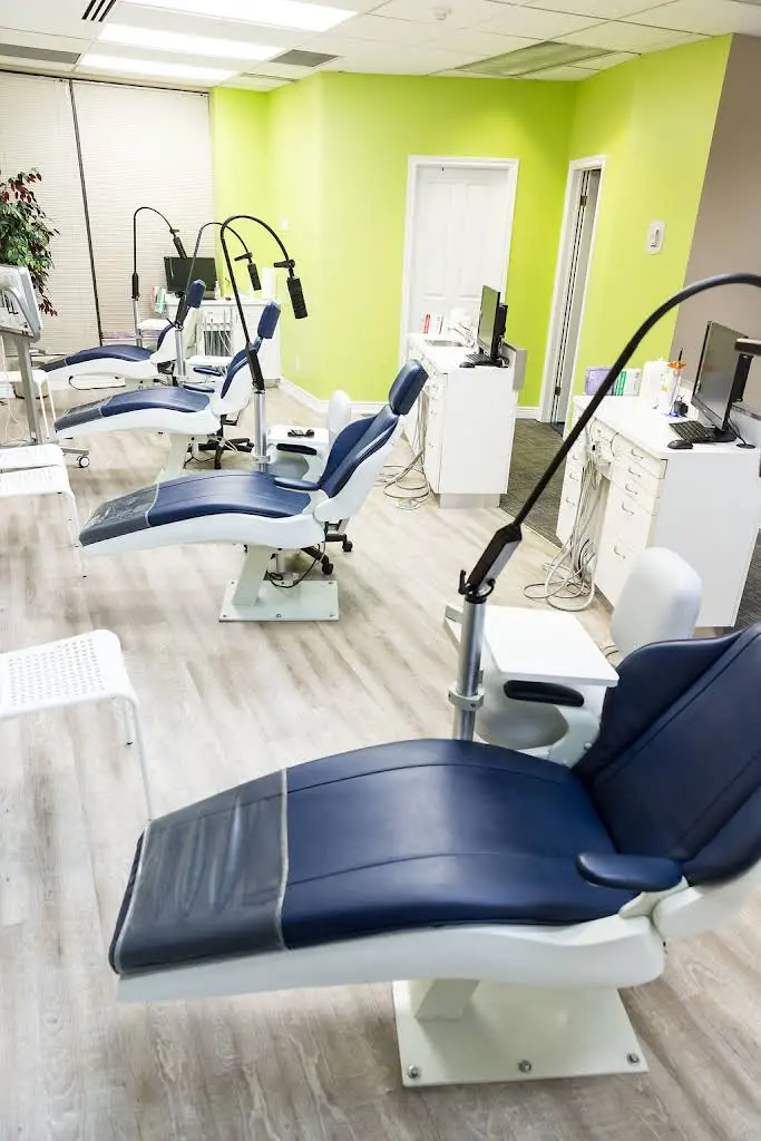 Discover Orthodontics
